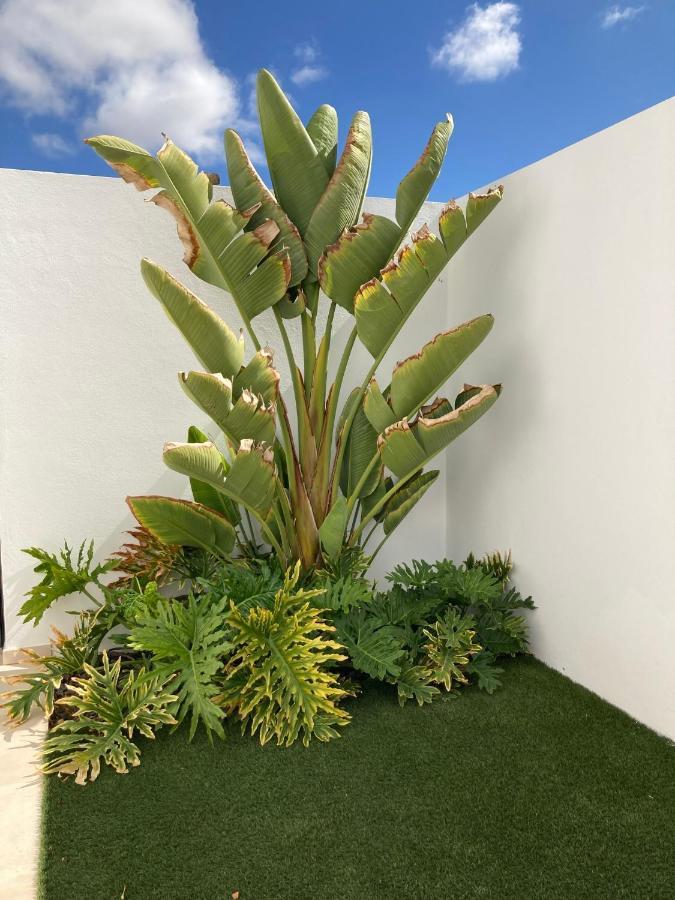 Casa Alice Villa Playa Blanca  Exteriör bild