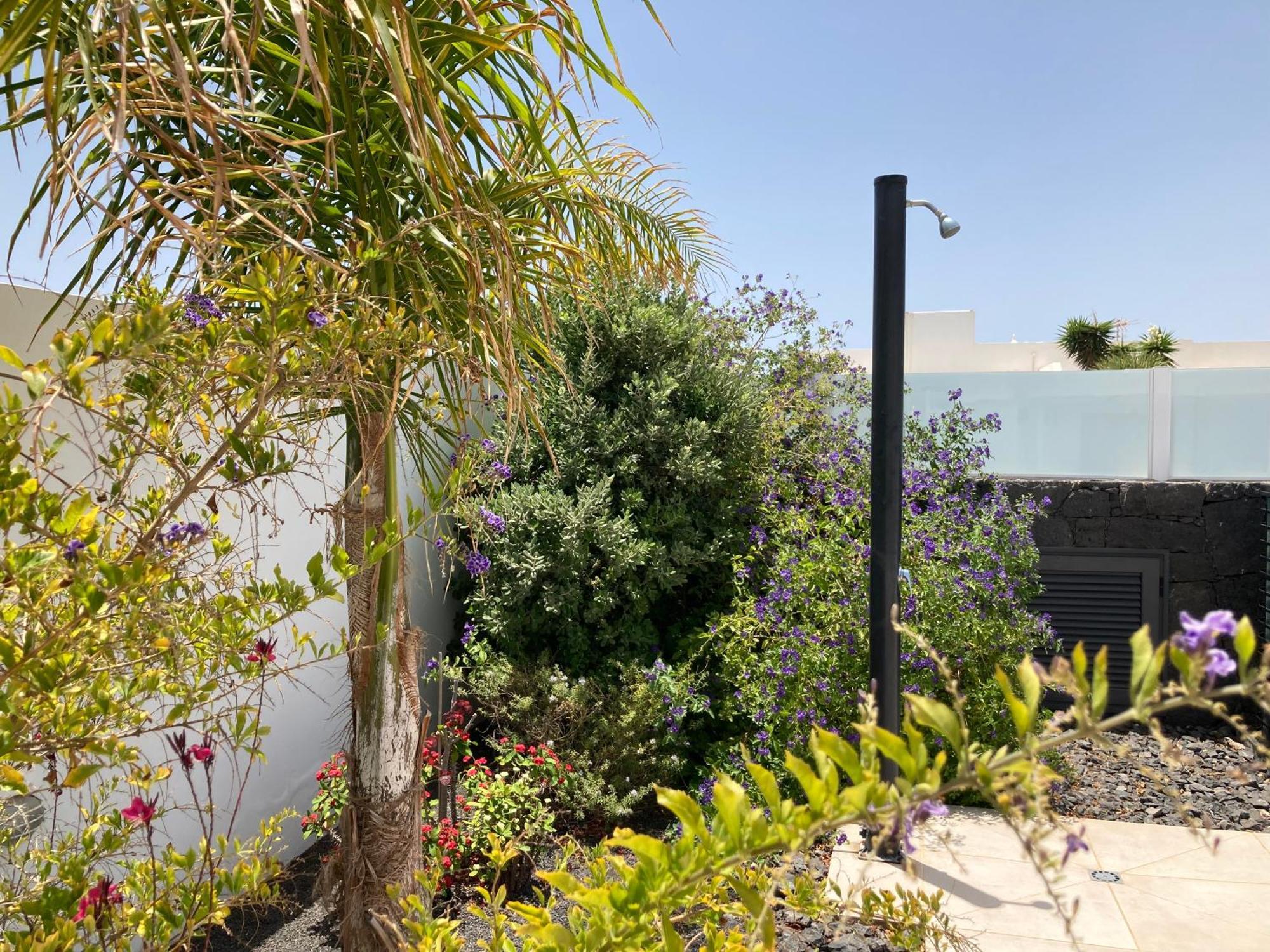 Casa Alice Villa Playa Blanca  Rum bild